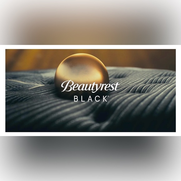 🎉LAST CHANCE🎉BEAUTYREST BLACK Luxurious Down And Feather Blend Pillow - Picture 2 of 8